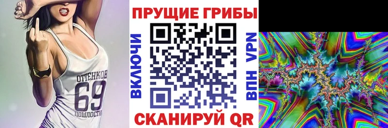 OMG зеркало  нарко площадка Telegram  Среднеуральск  Псилоцибиновые грибы прущие грибы  что такое наркотик 